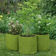 Vigoroot fabric pots three with plants in