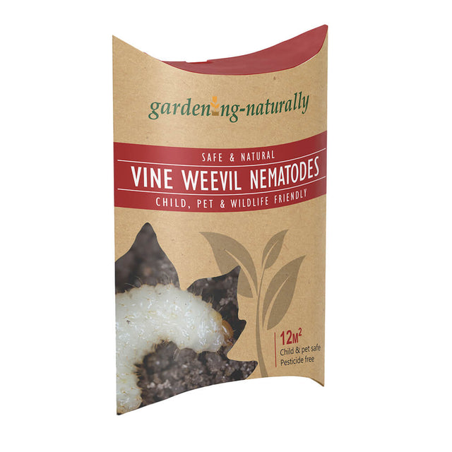 Gardening Naturally Vine Weevil Nematodes Pouch 12m2 front