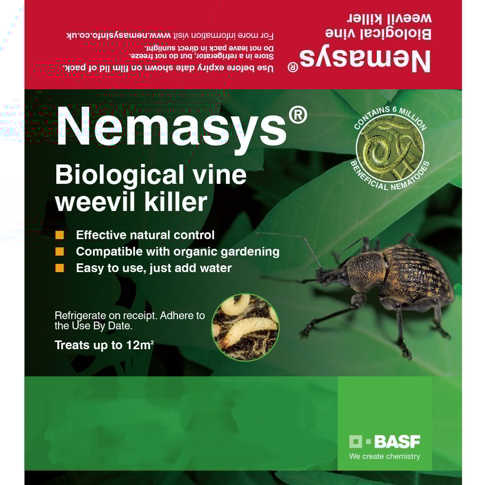 Vine weevil nematodes box from Nemasys 