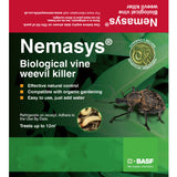Vine weevil nematodes box from Nemasys 