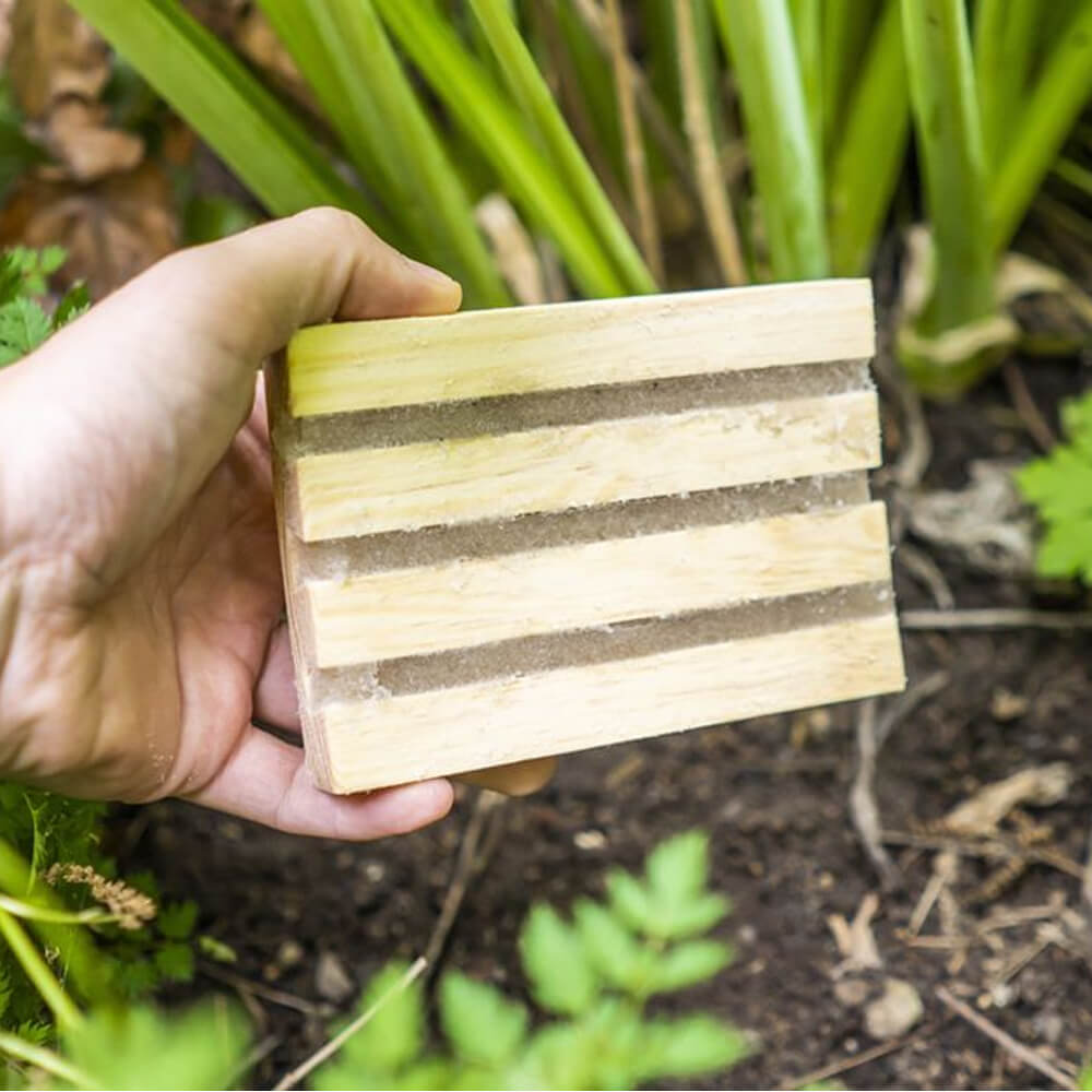 NemaTop Adult Vine Weevil Trap