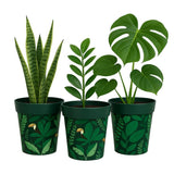 Vintage plant pots with plants on white background