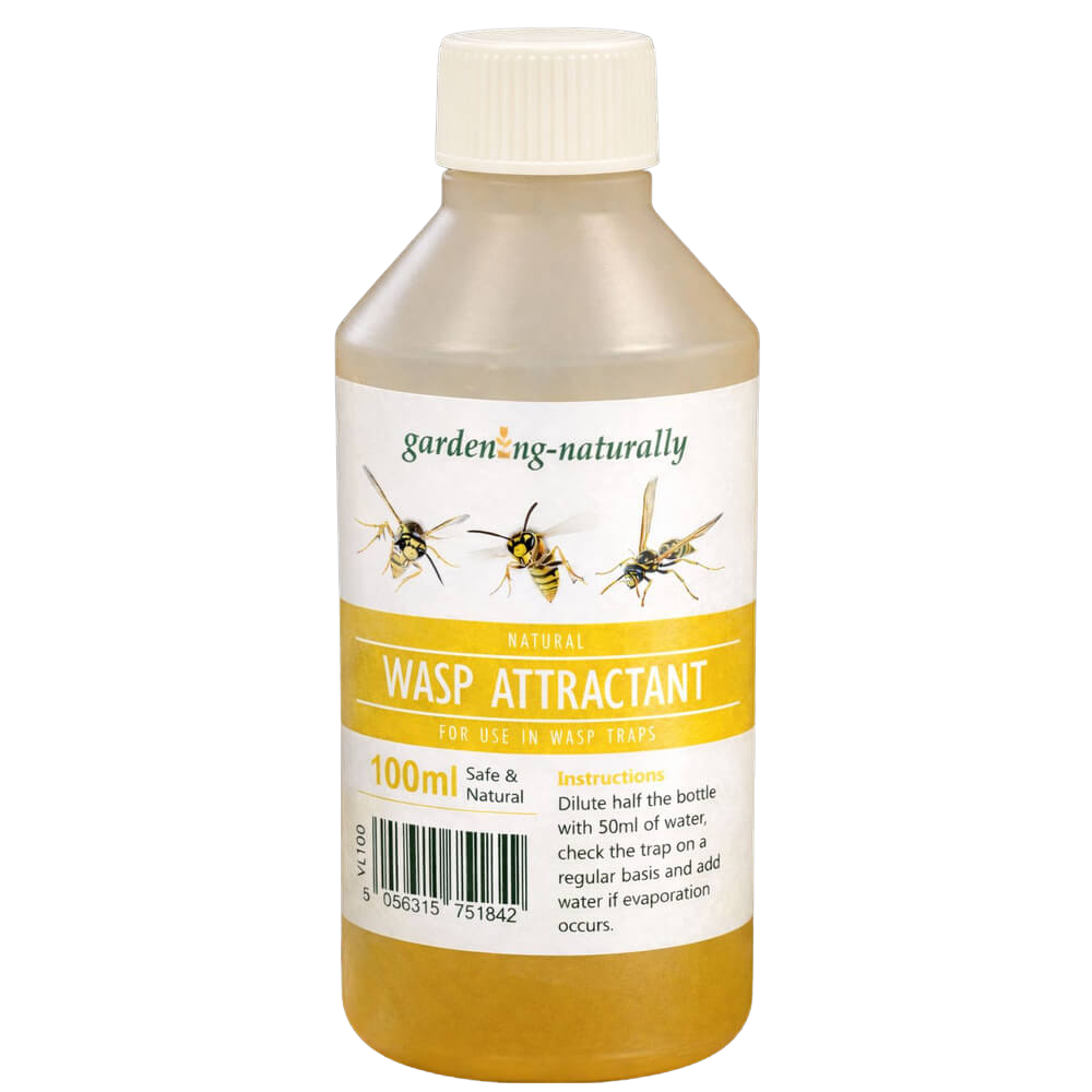 Wasp Trap and 100ml Attractant