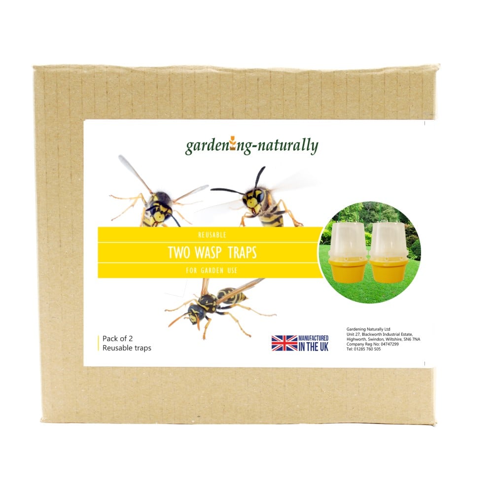 Wasp Trap and 100ml Attractant