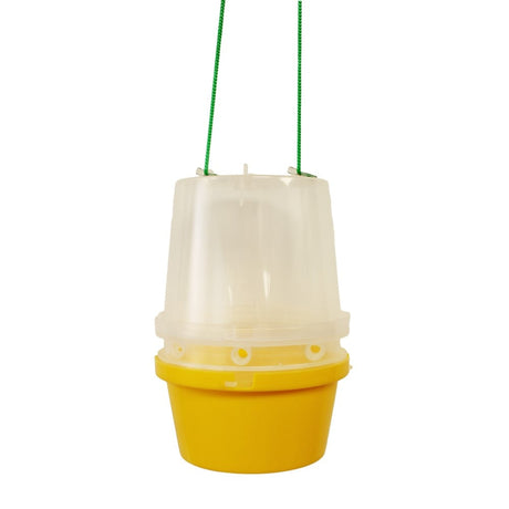 A yellow and clear wasp trap with a yellow base and a clear cylindrical cover suspended by green strings.
