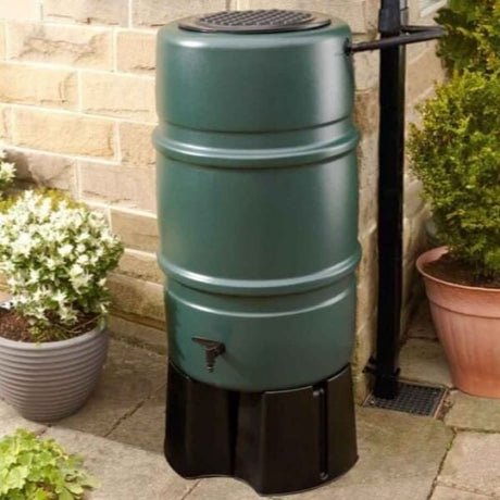 A green barrel-shaped water butt made from recycled plastic, stood in garden linked to down pipe