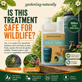 water butt safe for wildlife information
