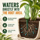 A green glass self-watering plant stake inserted into a potted plant, shown with marketing text and icons explaining below-surface watering and soil moisture monitoring.