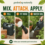 Promotional graphic for gardening-naturally nematode feed and waterer, showing three steps: fill the black watering can, attach the white rose nozzle, and water soil. The brand name 'gardening-naturally' is visible at the top and on the product box in the first panel.