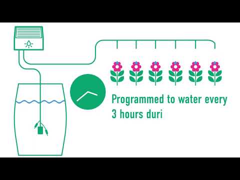 Watering diagram for solar watering