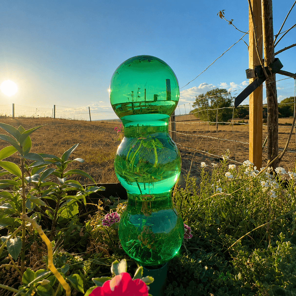 watering globe and spike with three stacked rounded sections stands in a garden bed outdoors. The stake is surrounded by green foliage, small white flowers, and a bright pink flower at the bottom.