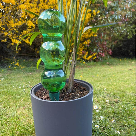 Green watering bottle with plants on a grassy background