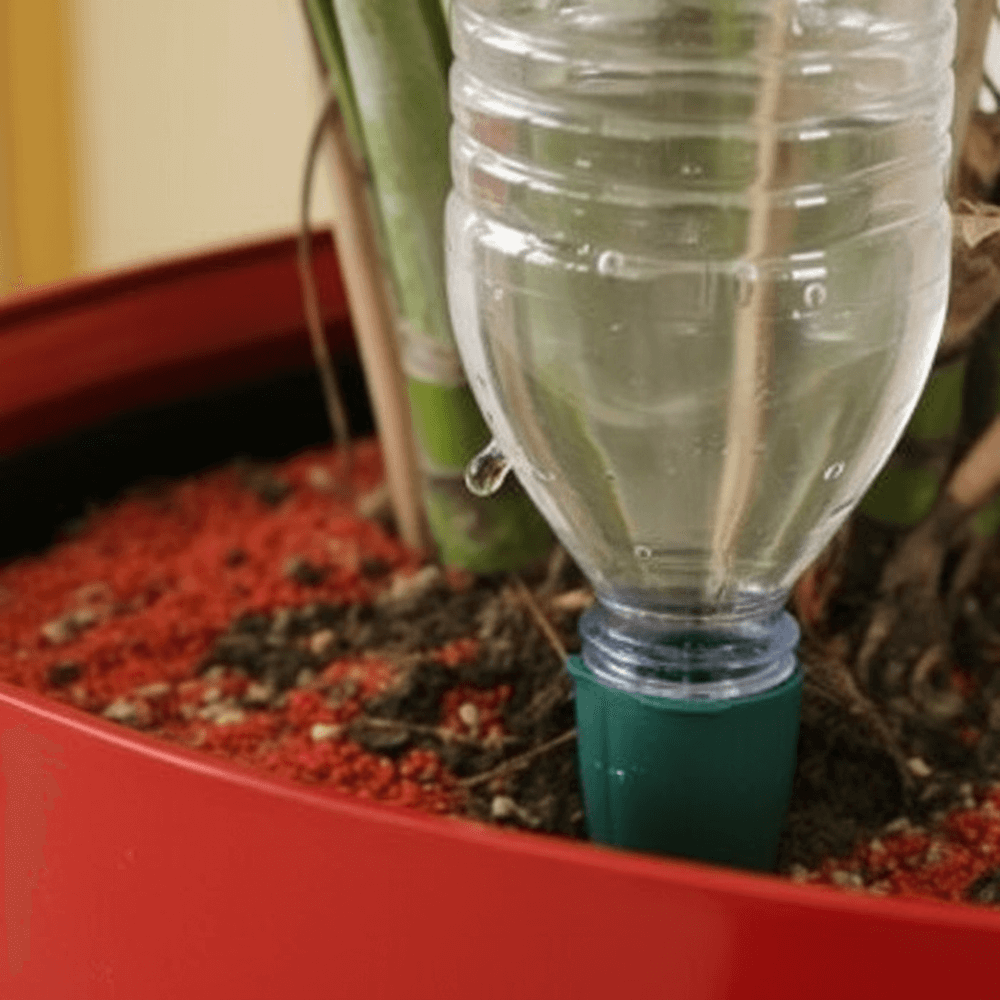 plastic bottle using watering spike 