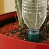 plastic bottle using watering spike 
