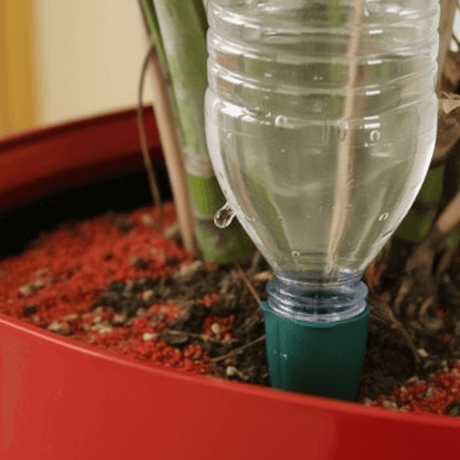plastic bottle using watering spike 