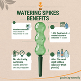 Watering spikes benefits infographic with a green spike on a beige background