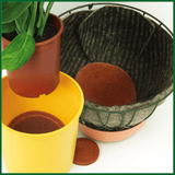 Water Retaining Slices For Pot Plants or Baskets Pack of 6