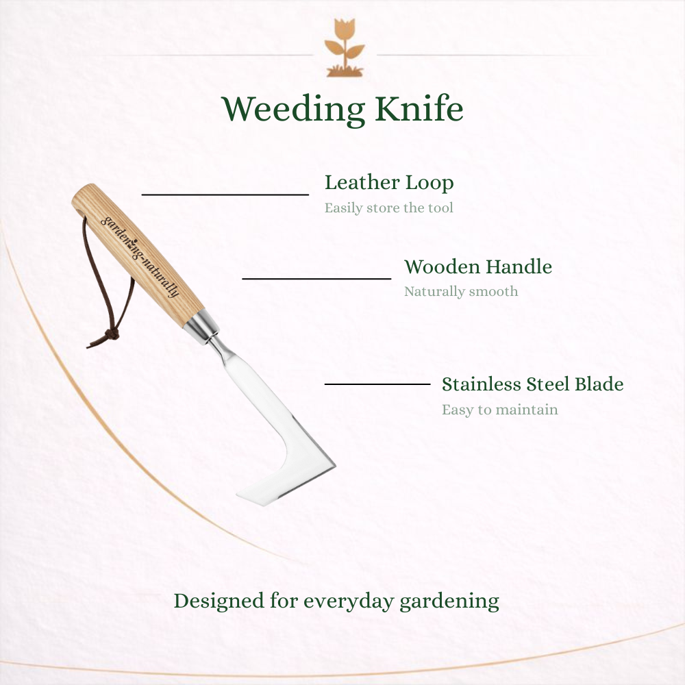 Weeding knife with leather loop, wooden handle, and stainless steel blade on a white background.