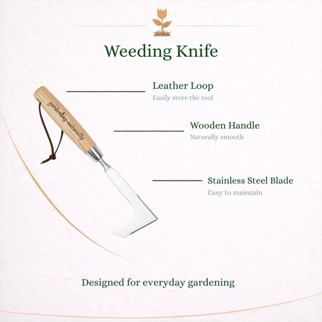 Weeding knife with leather loop, wooden handle, and stainless steel blade on a white background.