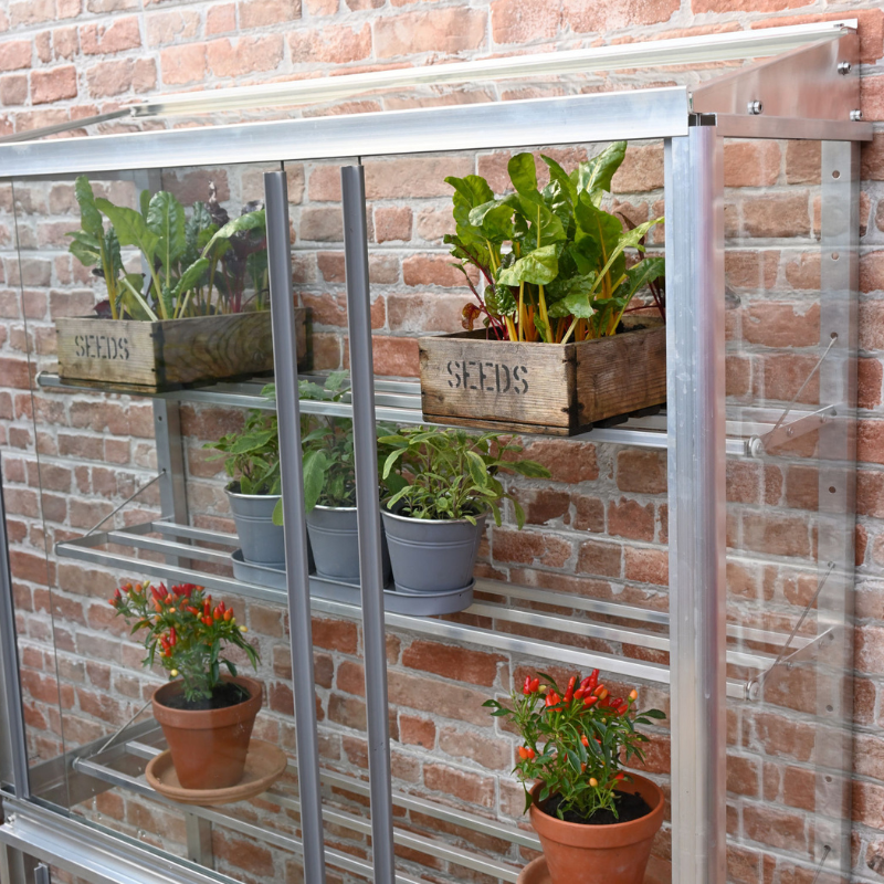 Lean to Mini Greenhouse - Westminster