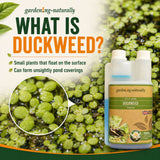 Duckweed Treatment for Garden Ponds 500ml