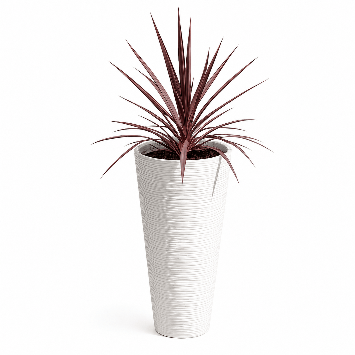Tall Slim Round Plant Pot 48cm with Insert