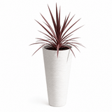 Tall Slim Round Plant Pot 48cm with Insert