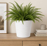 Potted fern on a wooden shelf with books and a framed picture in the background