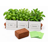 Herb or Chilli Pot sets for the Kitchen, Grey, Buttercream or Green