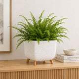 square plant pot  with legs and fern in plant pot on sideboard