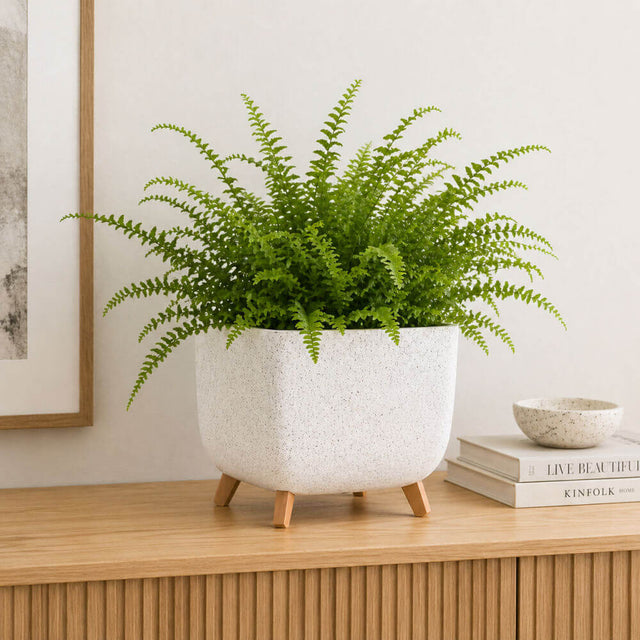 square plant pot  with legs and fern in plant pot on sideboard