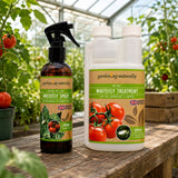 Two garden products from gardening-naturally displayed on a wooden table inside a greenhouse: a brown spray bottle labeled Whitefly Spray and a white jug labeled Whitefly Treatment, both with tomato graphics on the labels.