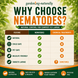 Comparison chart between nematodes and chemical treatments for compost fly larvae control, with a natural gardening theme.