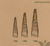 Willow Obelisk Size Comparison - Gardening Naturally