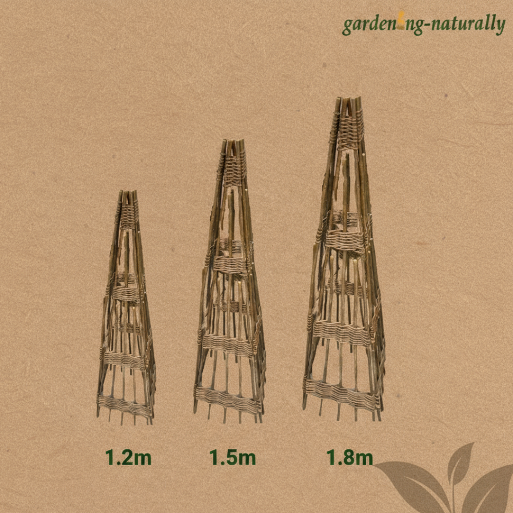 Willow Obelisk Size Comparison - Gardening Naturally