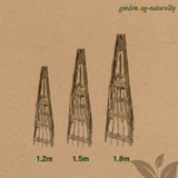 Willow Obelisk Size Comparison - Gardening Naturally