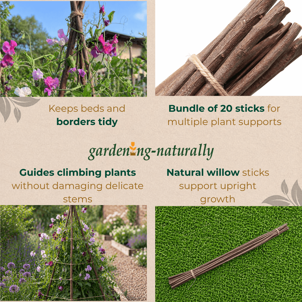 Garden support sticks with text describing their use and benefits, set against a natural garden background.