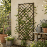 Garden scene with a trellis covered in climbing plants, pots of flowers, and a watering can.