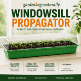 Green windowsill propagator with seedlings on a light surface, featuring text about its uses.
