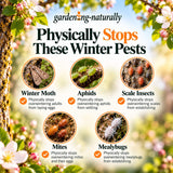 Pests stopped by winter tree wash infographics.