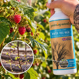 A hand holds a white gardening-naturally Winter Tree Wash spray bottle in front of a raspberry bush with ripe red berries. The bottle label is tan and blue, and a circular inset shows close-up branches with early spring buds before they are covered by the wash.
