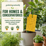 A gardening product display featuring a yellow sticky fly trap card hanging from a potted houseplant. The scene includes a large text overlay on the left reading 'gardening-naturally FOR HOMES & CONSERVATORIES' and shows multiple potted plants in a bright indoor setting.