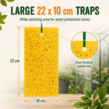 A large yellow insect trap with a hanging hole, shown with text reading 'LARGE 22 x 10 cm TRAPS' and dimension callouts. The image includes a circular inset showing the hanging hole and a blurred garden background with plants.