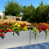 Gray rectangular zinc planters filled with red and yellow flowers in a backyard setting with trees and a wooden fence in the background.