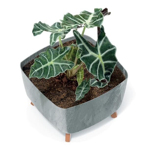 Square Concrete Effect Plant Pot - Zinnia – Gardening Naturally